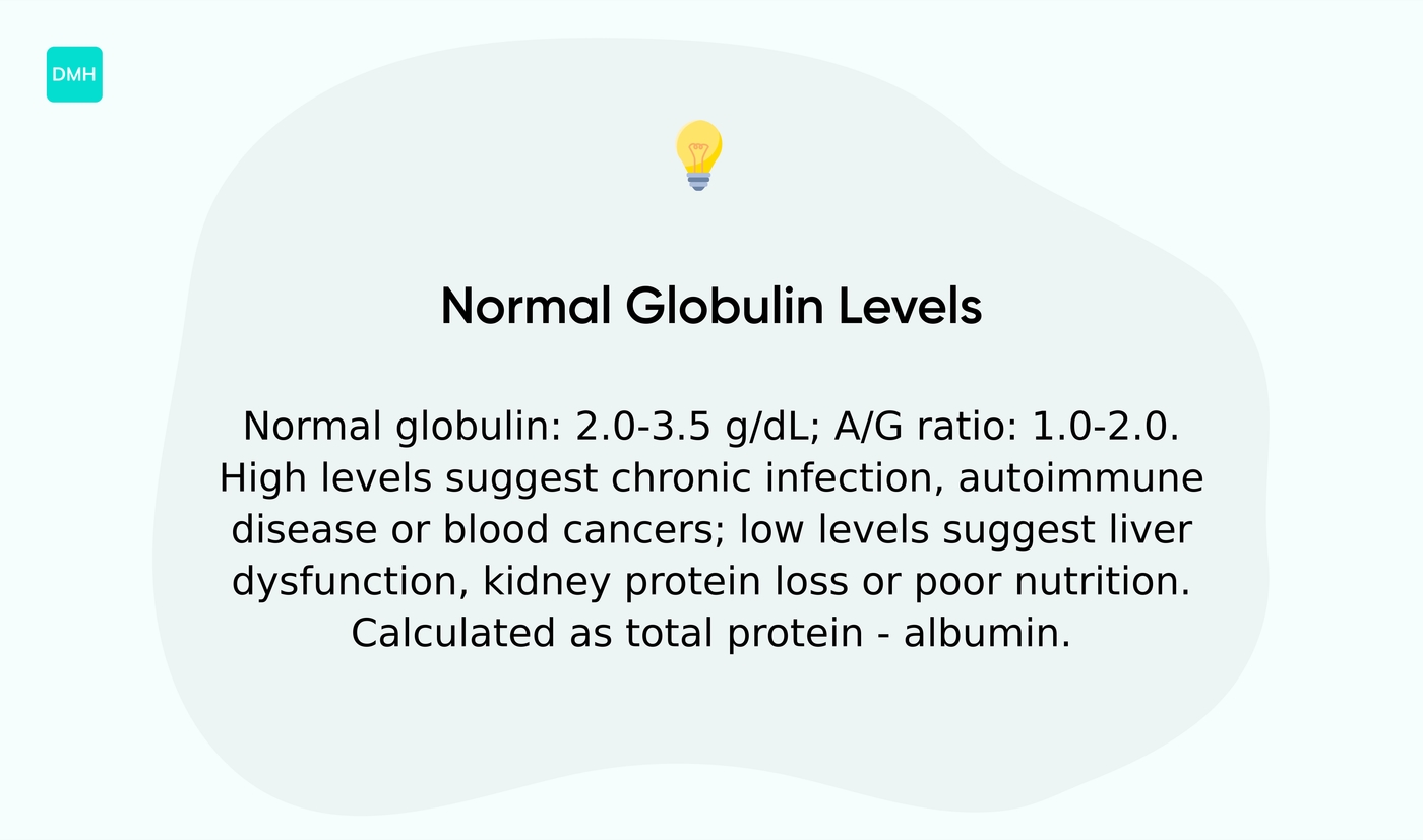 What is a normal globulin level