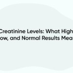 Creatinine Levels: What High, Low, and Normal Results Mean