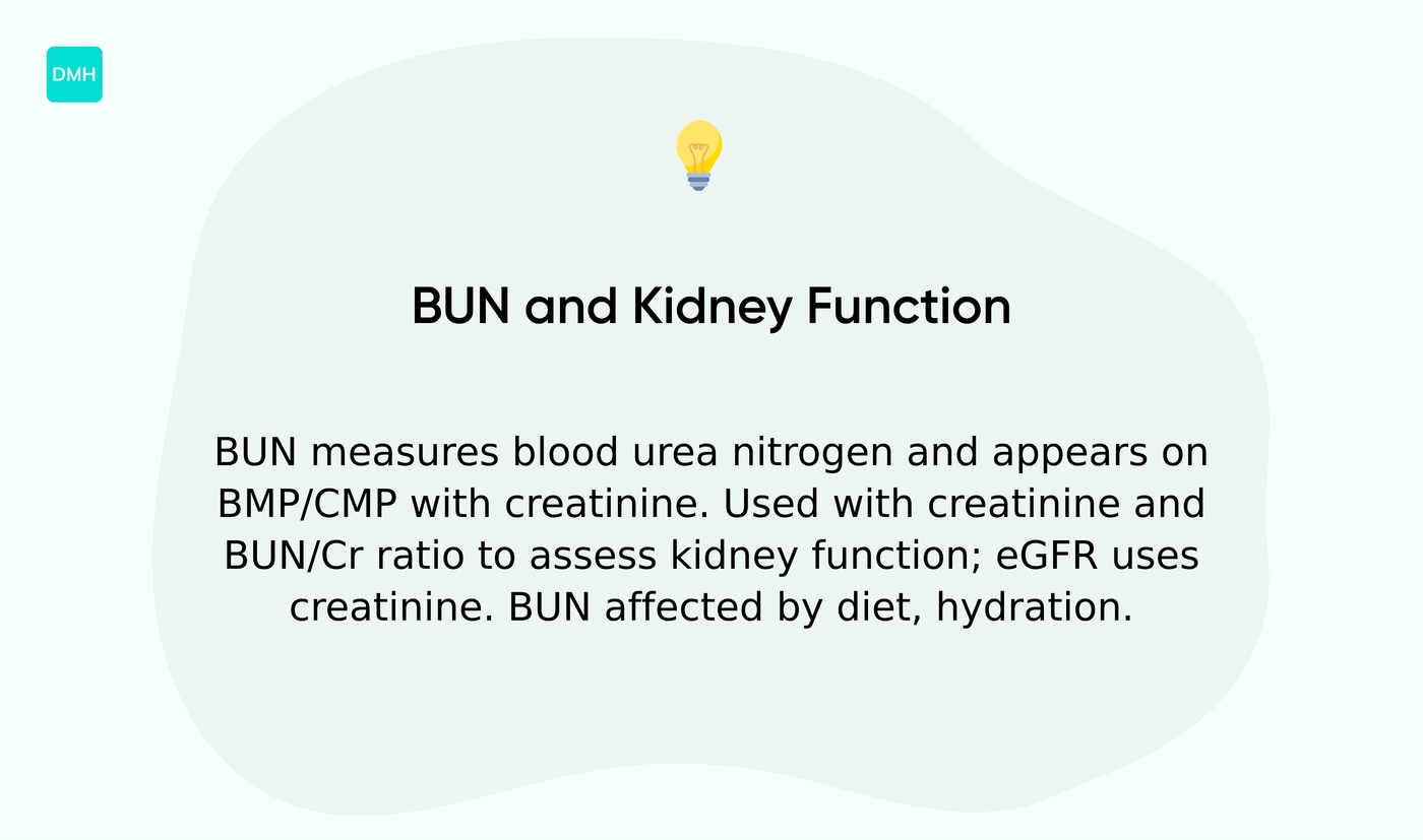 Is BUN part of a kidney function test