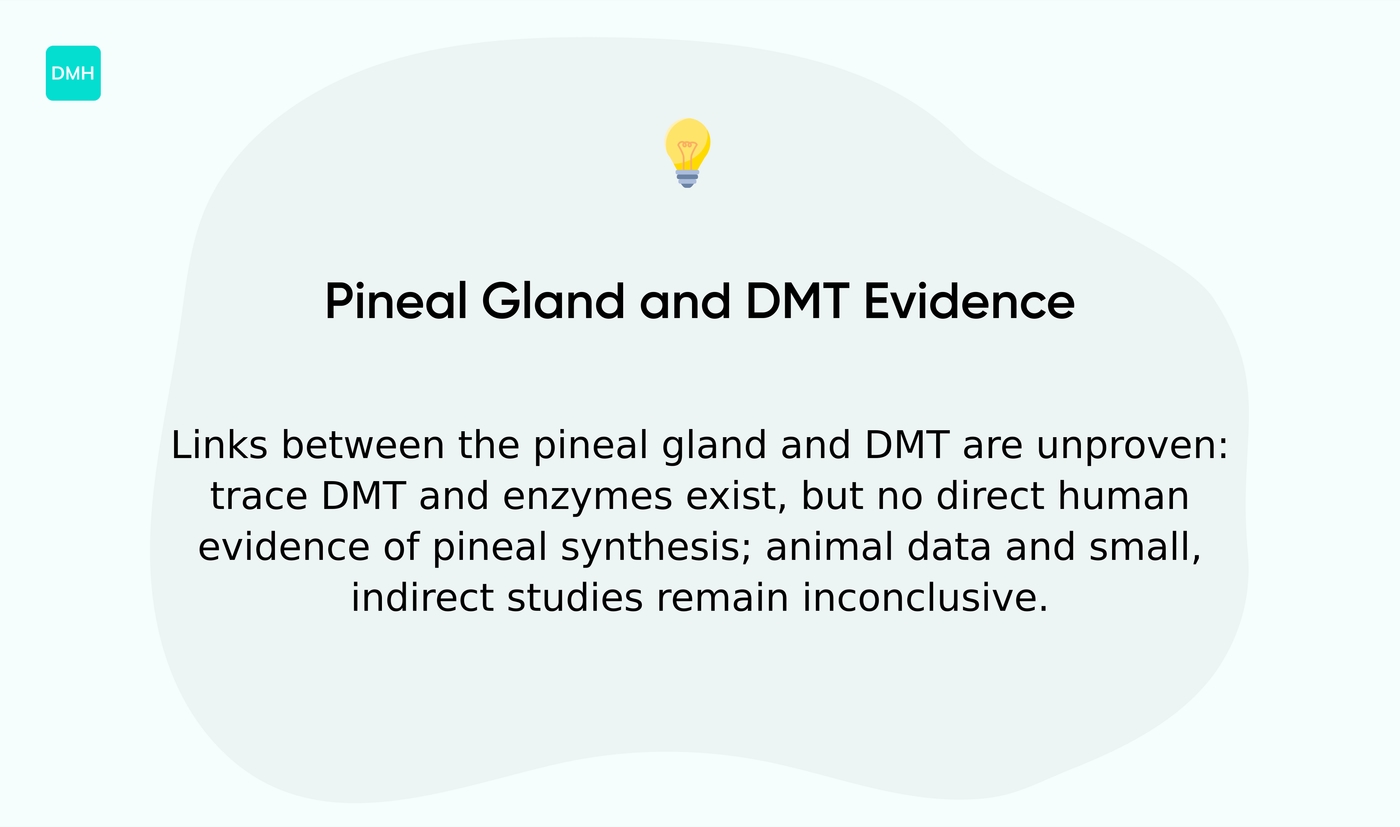 Does the pineal gland produce DMT