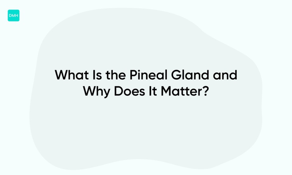 What Is the Pineal Gland and Why Does It Matter?