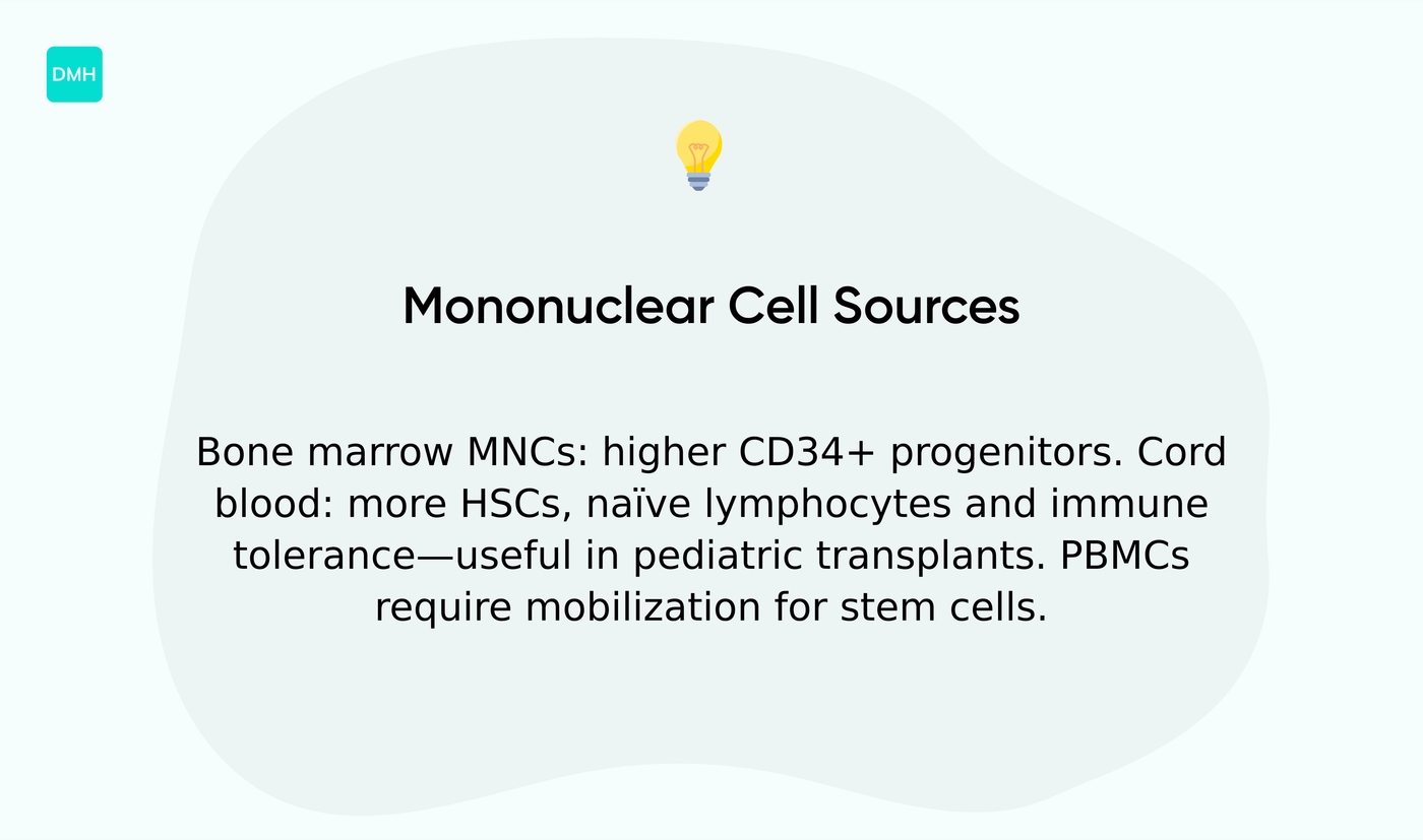 Bone marrow and cord blood mononuclear cells