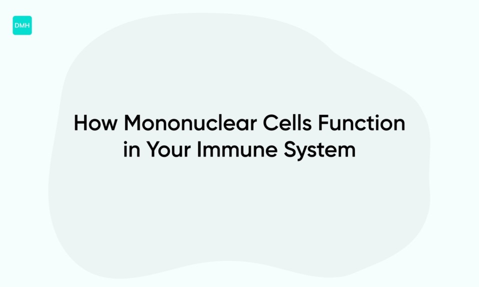 How Mononuclear Cells Function in Your Immune System