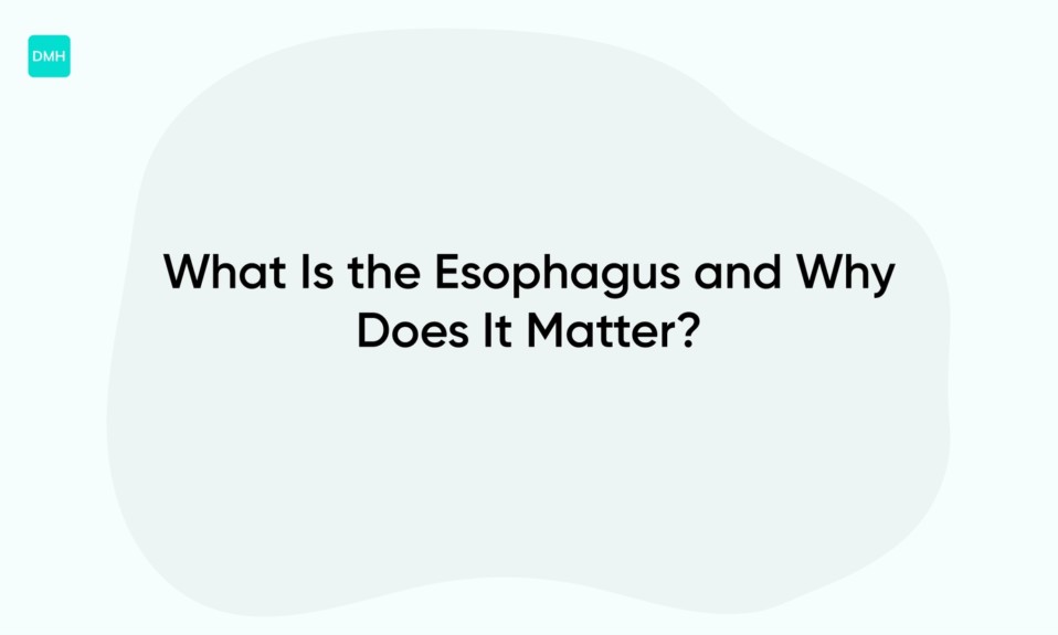 What Is the Esophagus and Why Does It Matter?