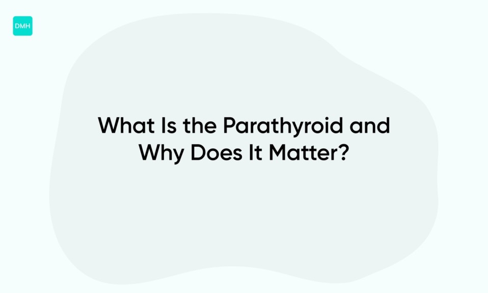 What Is the Parathyroid and Why Does It Matter?