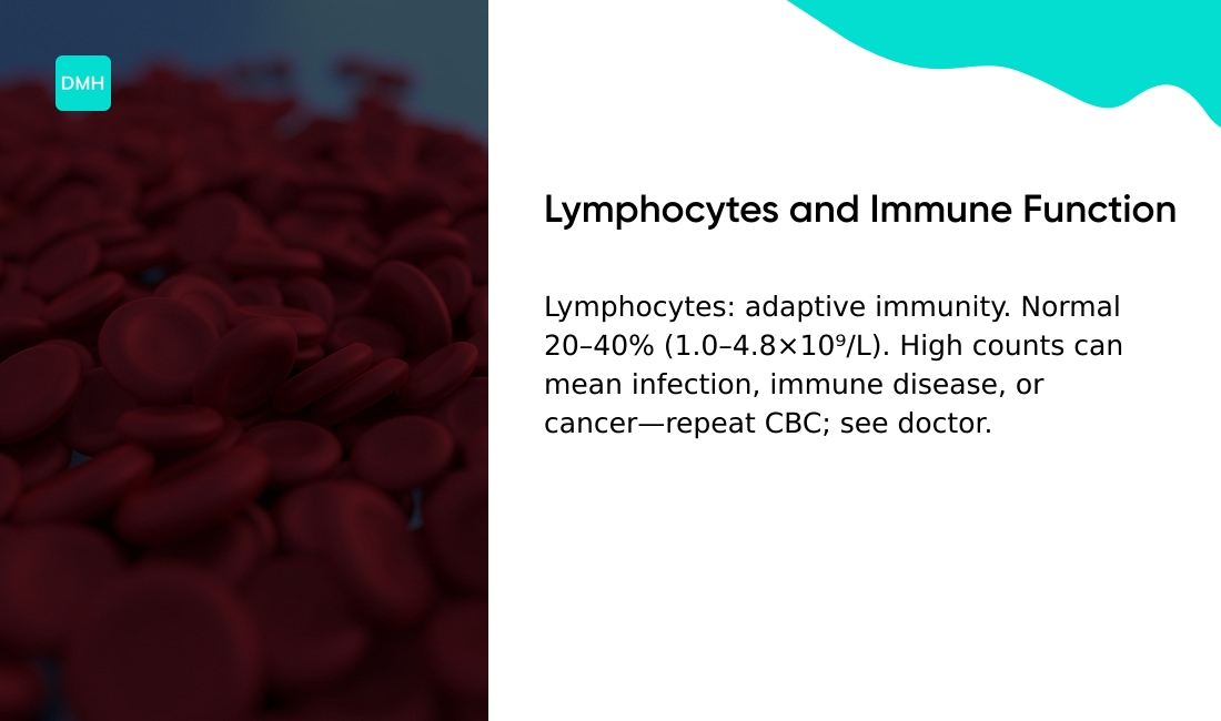 Lymphocytes and immune function